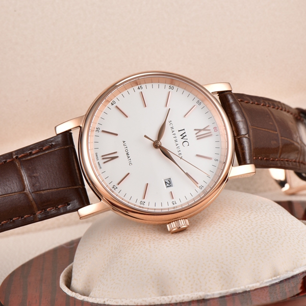 アイ・ダブリュー・シー側面デザイン